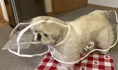 満を持して