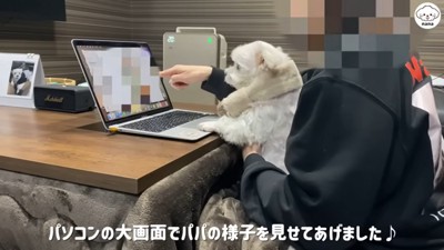 リハビリ中の動画を再生