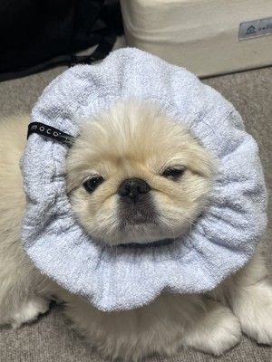 赤ちゃん
