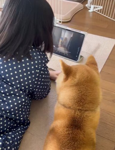会話