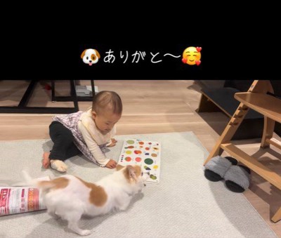「取れた！ありがとう♪」
