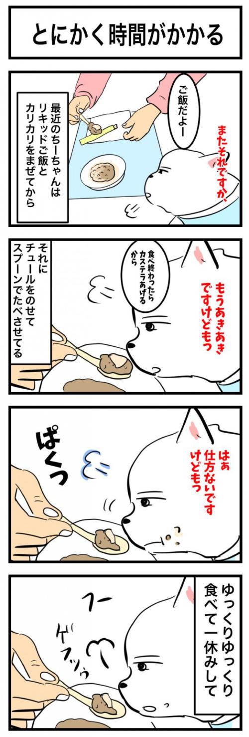 ちーちゃんですけどもっ【第353 話】　1
