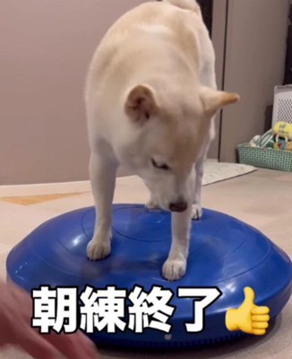 明日からも元気に過ごせる!