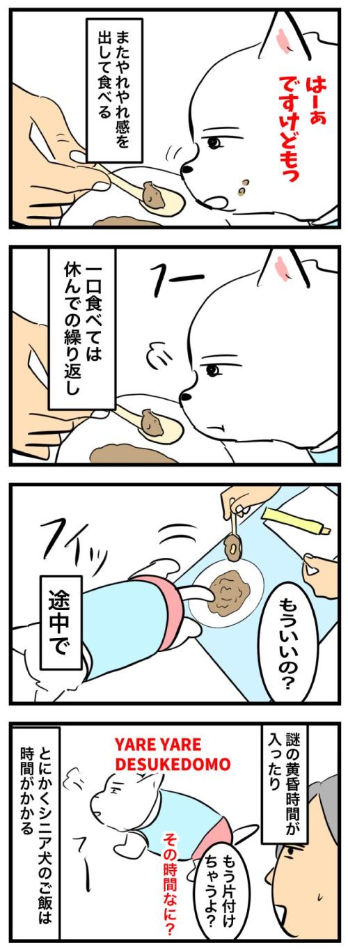 ちーちゃんですけどもっ【第353 話】　2