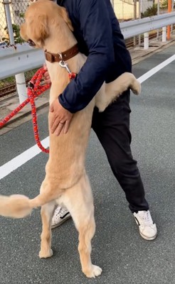 わんこを励ますパパ