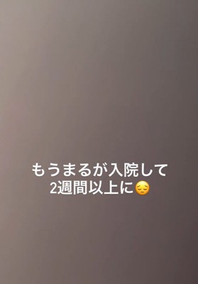 入院したまるちゃん
