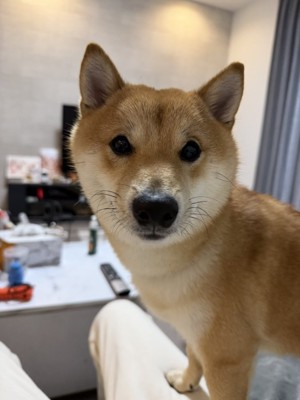 表情