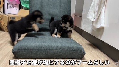 ワンプロ開始!