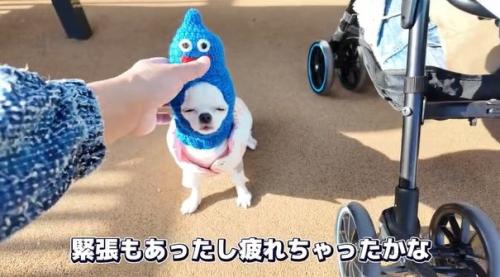 疲れたルミちゃん