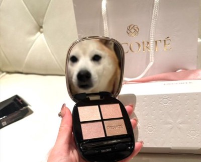 柴犬