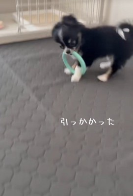 「もう~っ、なんで取れないんだよ!」