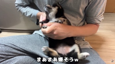すみれちゃんは抵抗!