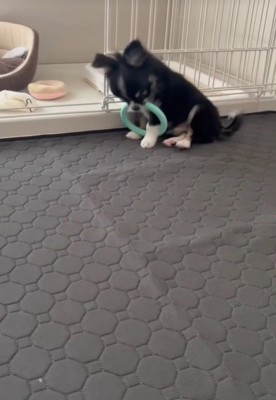 座り込んで…