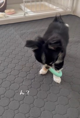 「ん?引っかかっちゃった…」