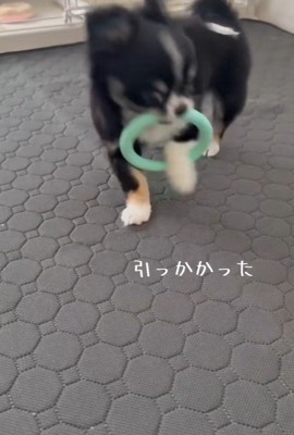 引っ張っても取れません!