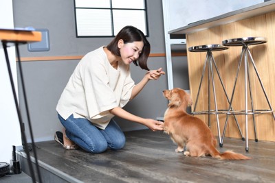ご褒美を持ちながらしつけする女性