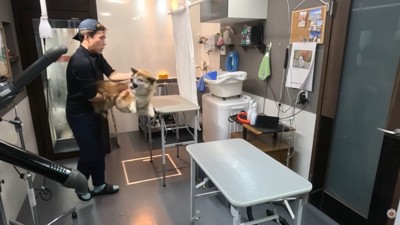 さっそく噛みつかれそうに！