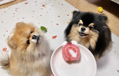 ニコニコ