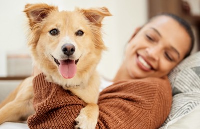 女性の上でくつろぐ犬