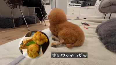 骨付きチキンにそっくり！？