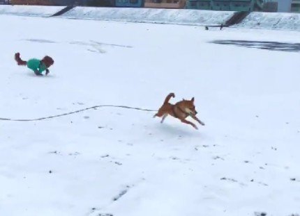 友達のわんこ！！