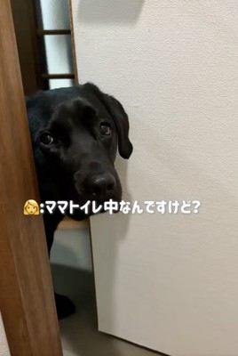 「そうなの？」