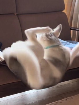 バランスを崩して落下