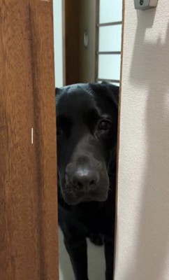 「僕を置いてくの…？」