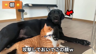 なぜか被害者面（笑）