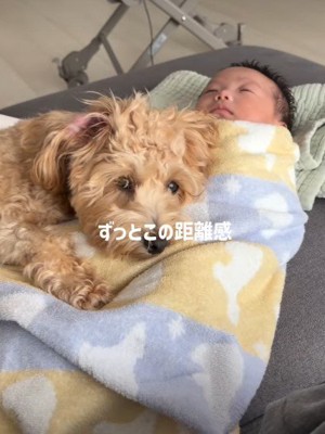 いつもそばにいる♡