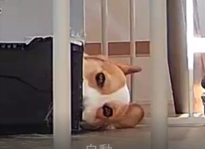 まさかの