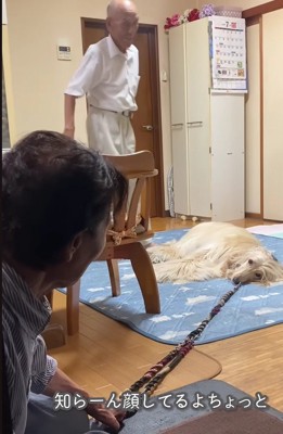 「ばあばんち泊まる!」