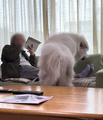 「よいしょっと」