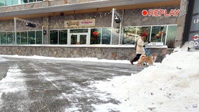 そのままフレームアウト(笑)