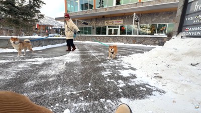 「パパ?」と探りながら近づいて…
