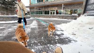 確信した瞬間に大喜び!
