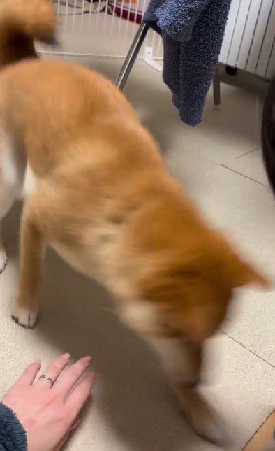 バシッ！！