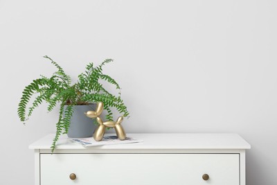 棚の上の植物