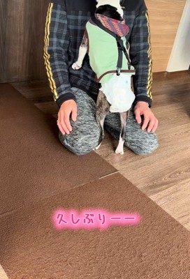 熱烈歓迎！