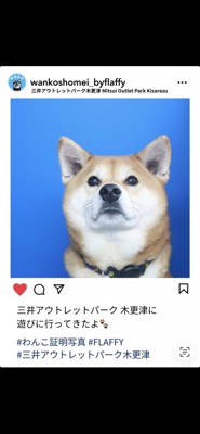 証明写真