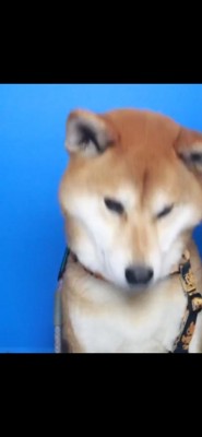 NG