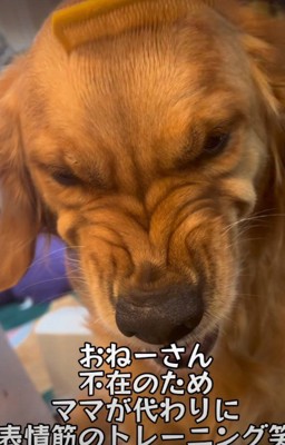 ブチギレた範馬勇次郎？
