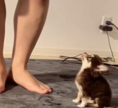 じーっ