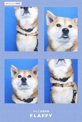 完成