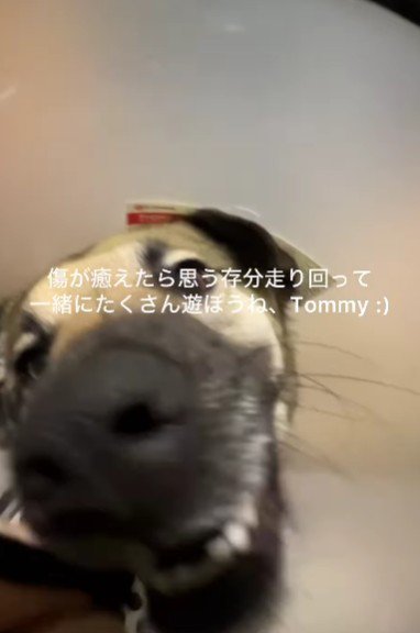 運命の出会いだったのかも!