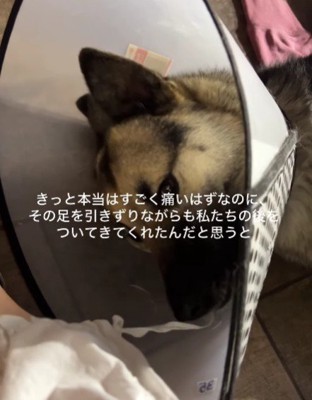 頑張って治療中!!