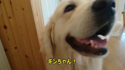 ニッコリ♪