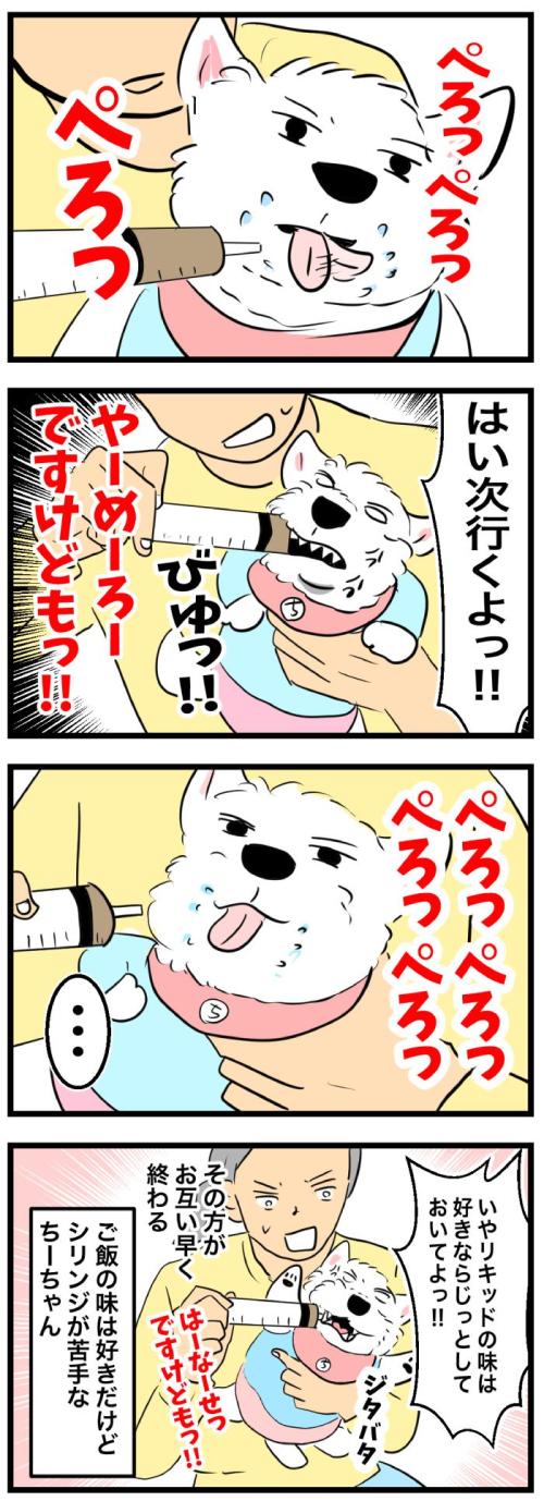 ちーちゃんですけどもっ【第354 話】　2