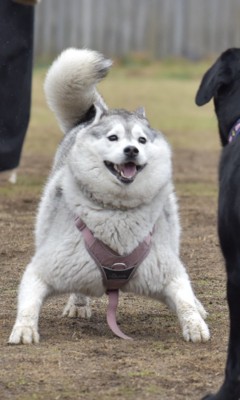 未知