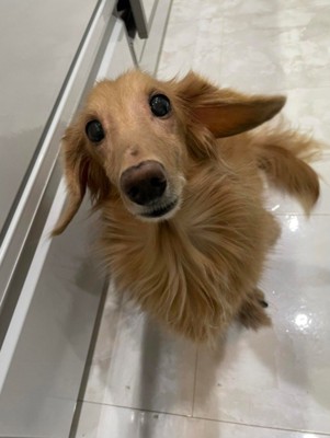 みの君
